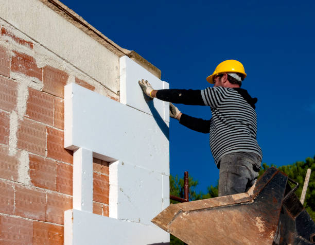 Best Insulation Maintenance and Repair in Normal, IL