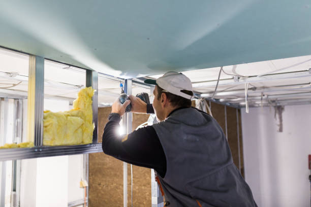 Types of Insulation We Offer in Normal, IL